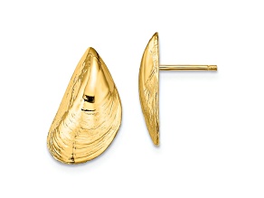 14K Yellow Gold Mussel Shell Stud Earrings