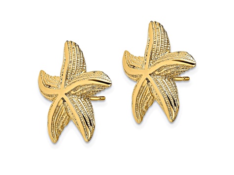 14k Yellow Gold Textured Starfish Stud Earrings