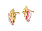 14k Yellow Gold Textured White and Pink Enamel Conch Shell Stud Earrings