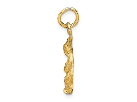 14k Yellow Gold Diamond-Cut and Satin Jack Rabbit Pendant