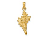 14k Yellow Gold Textured 3D Conch Shell Charm