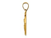 14K Yellow Gold Polished/Satin St. Catherine Hollow Medal Pendant