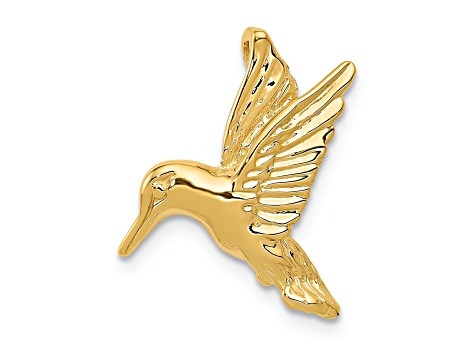 14k Yellow Gold Polished and Textured Hummingbird Chain Slide