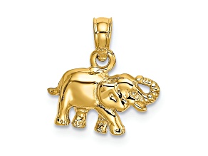 14k Yellow Gold Polished and Textured Small Elephant Charm