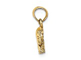 14k Yellow Gold Polished and Textured Small Elephant Charm