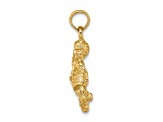 14k Yellow Gold 3D Textured Aquarius Zodiac pendant