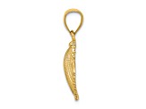14k Yellow Gold Textured Scallop Shell Charm