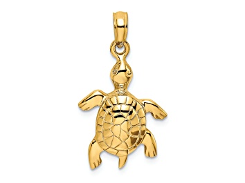 Picture of 14K Yellow Gold Polished Turtle with Textured Shell Charm