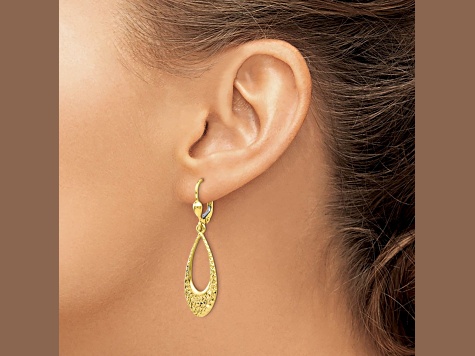 10k Yellow Gold Polished And Diamond-Cut Dangle Leverback Earrings