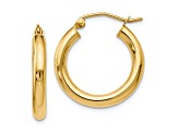 10k Yellow Gold 20mm x 3mm Polished Hinged Hoop Earrings
