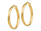 10k Yellow Gold 27.5mm x 3mm Polished Hoop Earrings