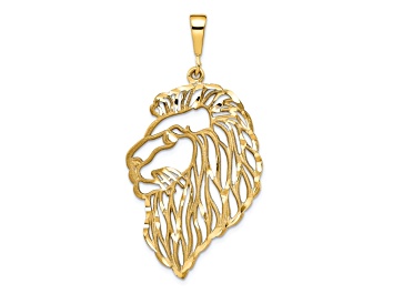 Picture of 10k Yellow Gold Solid Diamond-Cut Lions Head Charm