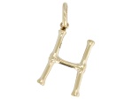 14k Yellow Gold Bamboo Initial Pendant
