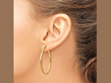 14K Yellow Gold 40mm x 2mm Polished Lightweight Tube Hoop Earrings