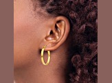14k Yellow Gold 3mm Medium Hoop Earrings