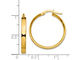 14k Yellow Gold 3mm Medium Hoop Earrings
