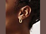 14k Yellow Gold 14mm x 3mm  Polished Hoop Earrings