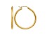 14k Yellow Gold 30mm x 2mm Satin and Diamond-cut Round Tube Hoop Earrings