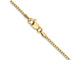 14k Yellow Gold 1.3mm Box Chain 20"