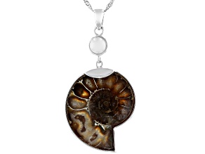 Pre-Owned Brown Ammonite Shell Sterling Silver Solitaire Pendant With Chain