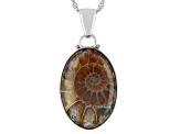 Pre-Owned Brown Ammonite Shell Rhodium Over Sterling Silver Solitaire Pendant With Chain