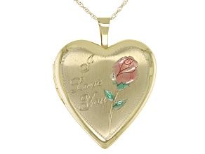 Pre-Owned 10K Yellow Gold Heart Photo Locket Pendant with Chain