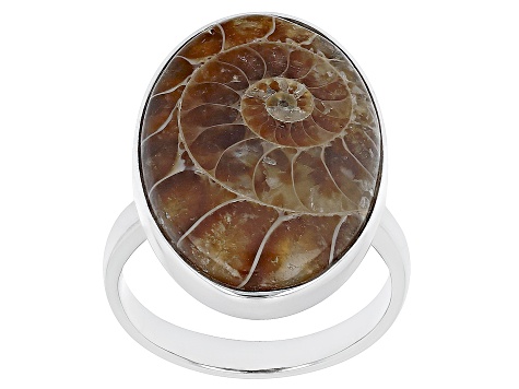 Pre-Owned Brown Ammonite Shell Rhodium Over Sterling Silver Solitaire Ring