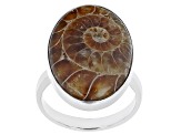 Pre-Owned Brown Ammonite Shell Rhodium Over Sterling Silver Solitaire Ring