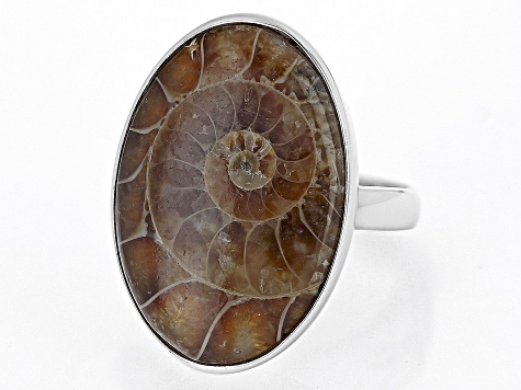 Pre-Owned Brown Ammonite Shell Rhodium Over Sterling Silver Solitaire Ring