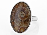 Pre-Owned Brown Ammonite Shell Rhodium Over Sterling Silver Solitaire Ring