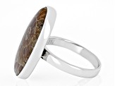 Pre-Owned Brown Ammonite Shell Rhodium Over Sterling Silver Solitaire Ring
