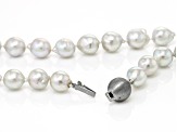 Pre-Owned White Cultured Japanese Akoya Pearl Rhodium Over Sterling Silver 18 Inch Necklace