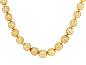 Pre-Owned Golden Cultured South Sea Pearl 14k Yellow Gold 18 Inch Strand Necklace