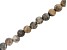 Pre-Owned Fossil Stone Appx 8mm Faceted Round Large Hole Bead Strand Appx 7-8" Length