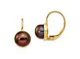 14K Yellow Gold 6-7mm Black Button Freshwater Cultured Pearl Leverback Earrings