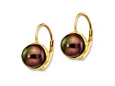 14K Yellow Gold 6-7mm Black Button Freshwater Cultured Pearl Leverback Earrings