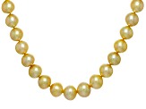 Golden South Sea Cultured Pearl 14k Yellow Gold 17 Inch Strand Necklace