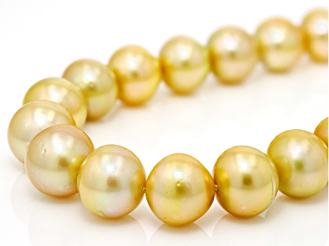 Golden South Sea Cultured Pearl 14k Yellow Gold 17 Inch Strand Necklace