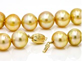 Golden South Sea Cultured Pearl 14k Yellow Gold 17 Inch Strand Necklace