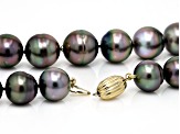 Aubergine Tahitian Cultured Pearl 14k Yellow Gold 20 Inch Strand Necklace