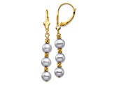 14K Yellow Gold 5-6mm Grey Semi-round Freshwater Cultured Pearl Leverback Earrings