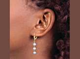14K Yellow Gold 5-6mm Grey Semi-round Freshwater Cultured Pearl Leverback Earrings