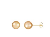 11-12mm Round Golden south sea earrings in 14k yellow gold