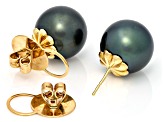 Midnight Blue Tahitian Cultured Pearl 14k Yellow Gold Earrings