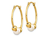 14K Yellow Gold 5-6mm White Semi-round Freshwater Cultured Pearl Polished Hoop Earrings