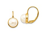 14K Yellow Gold 6-7mm White Button Freshwater Cultured Pearl Leverback Earrings