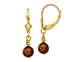 14K Yellow Gold 5-6mm Coffee Brown Semi-round Freshwater Cultured Pearl Leverback Earrings