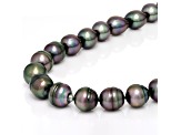 Peacock Tahitian Cultured Pearl 14k Yellow Gold 18.5 Inch Strand Necklace