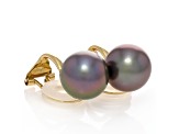 Purple Tahitian Cultured Pearl 18k  Gold Clip On Earrings