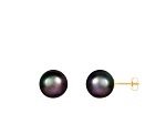 Black Cultured Freshwater Pearl 14k Yellow Gold Stud Earrings
